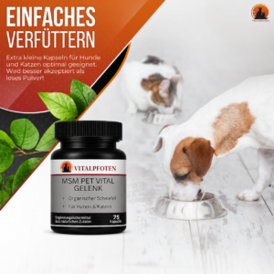 Einfaches Verfüttern MSM