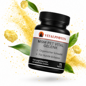 MSM organischer Schwefel Kapsel Methylsulfonylmethan Hund Katze