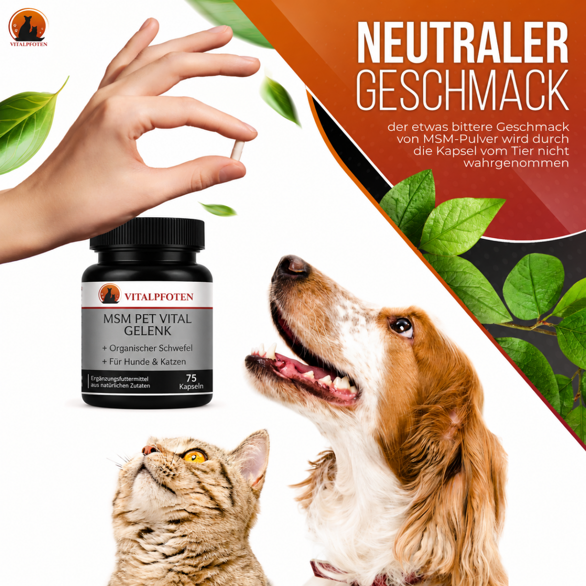 Neutraler Geschmack MSM