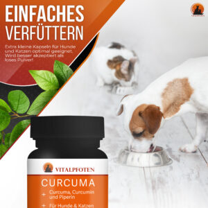 Curcuma in der Kapsel