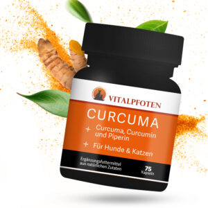 Kurkuma Kapseln Hund Katze