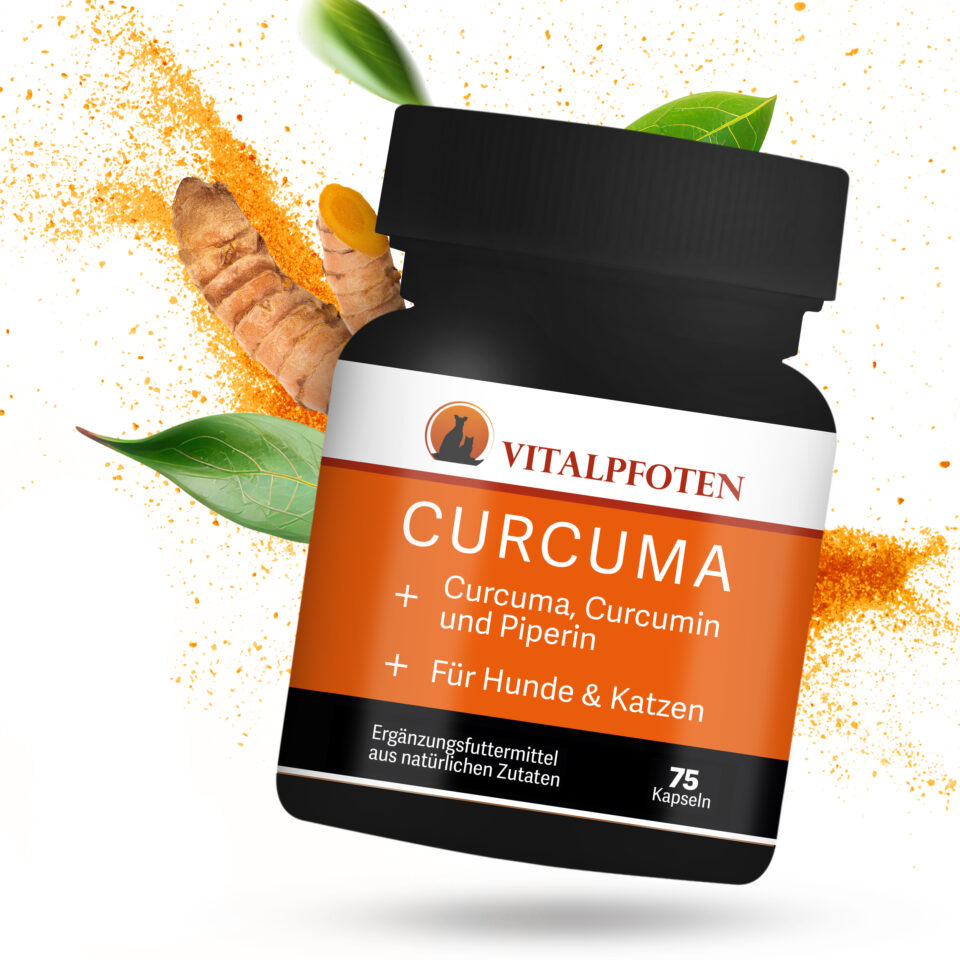 Kurkuma Kapseln Hund Katze