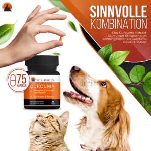 Kurkuma Kapsel mit Curcumin Hund Katze