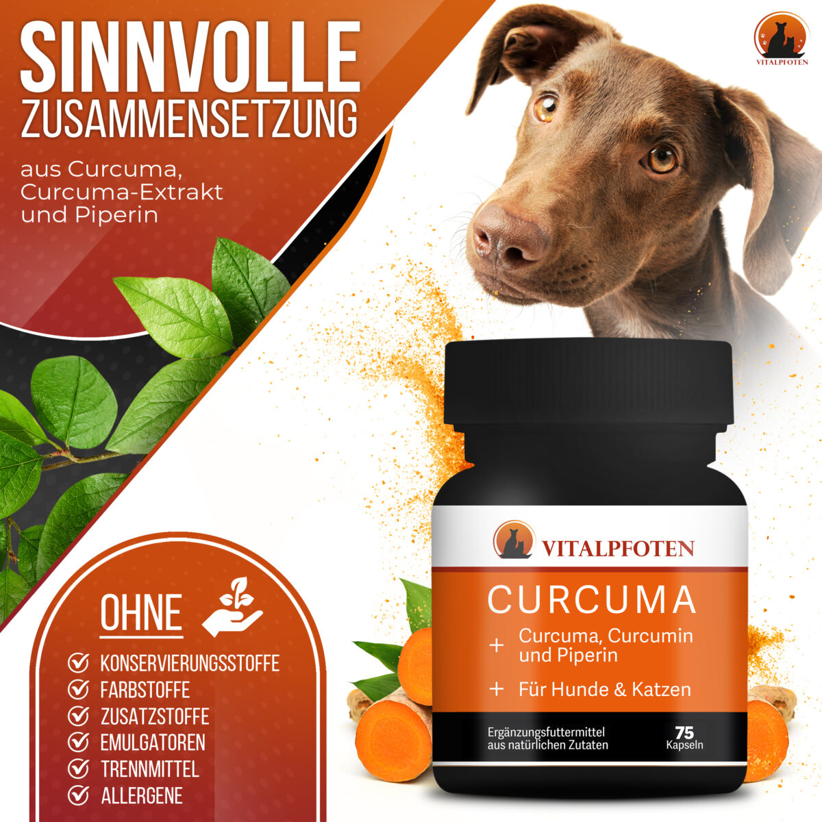 Kurkuma Curcumin Hund