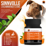 Kurkuma Curcumin Hund