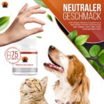 MSM Kapseln Hund Katze Geschmack Schwefel