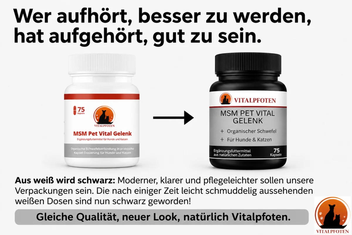 Vitalpfoten MSM Pet Vital Gelenk Kapseln – Bild 2
