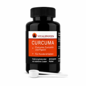 Curcuma Pulver Kurkuma Hund Katze Curcumin
