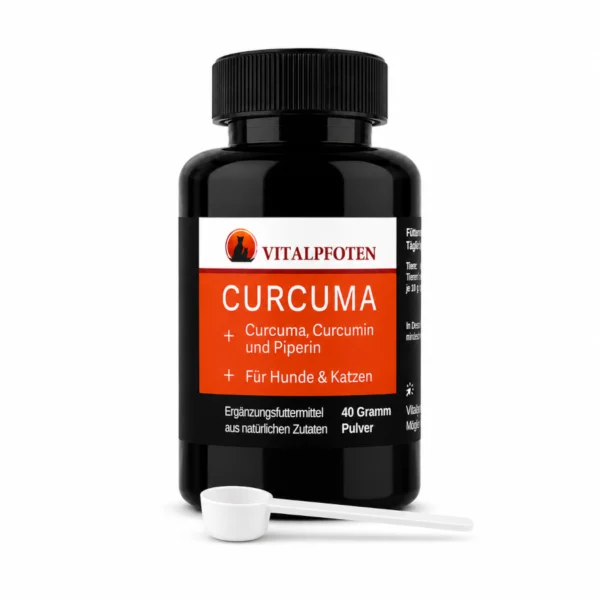 Curcuma Pulver Kurkuma Hund Katze Curcumin