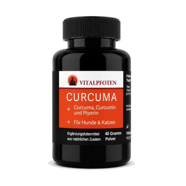 Curcuma Pulver Kurkuma Hund Katze Curcumin