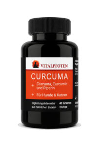 Curcuma Hund Katze