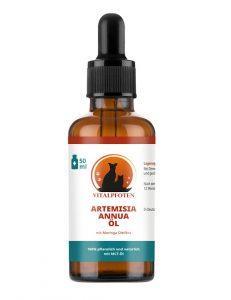 Artemisia Annua Artemisinin Vorteile krankheiten Krebs Leishmaniose