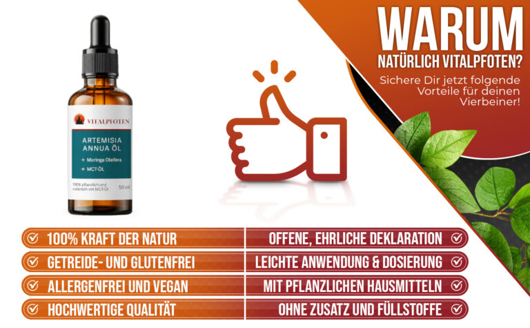 AA Öl Warum Artemisia Annua