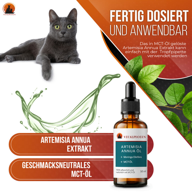AA Öl fertig dosiert Artemisia Annua