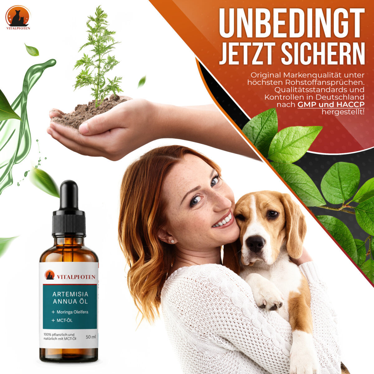 Artemisia Annua Extrakt Öl Konzentrat (alkoholfrei) 50ml – Bild 2