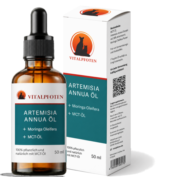 Artemisia Annua Öl mit Umkarton