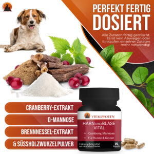 Harn und Blase vital perfekt fertig dosiert