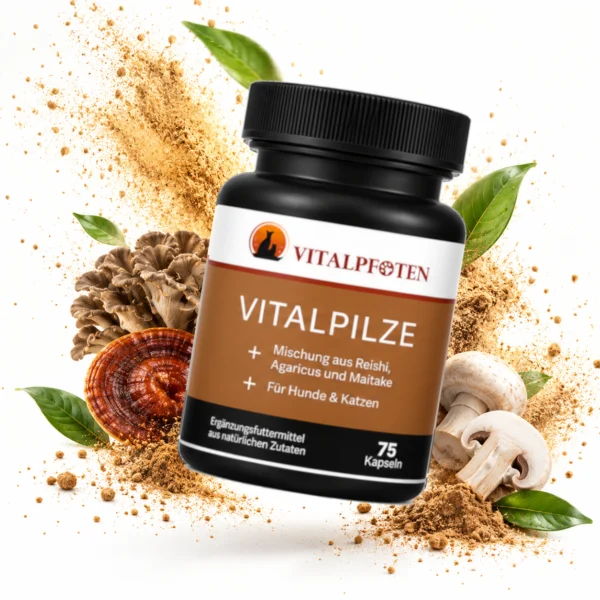 Vitalpilze Kapseln Hunde Katzen
