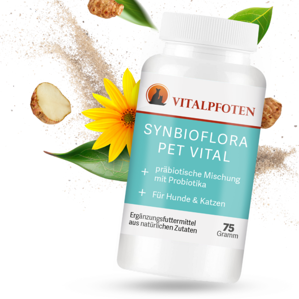 Synbioflora Probiotikum