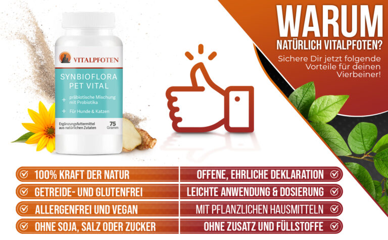 Präbiotihum Hund Katze