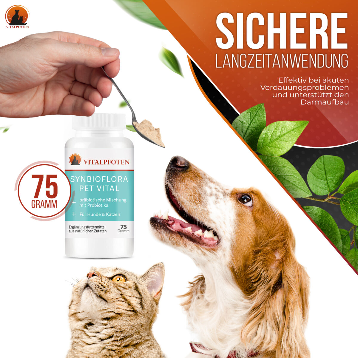 Synbioflora sicher langzeitanwendung Probiotikum Katze Hund