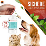 Synbioflora sicher langzeitanwendung Probiotikum Katze Hund