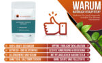 Artemisia Annua 50:1 Ratio Extrakt-Pulver 20g – Bild 4
