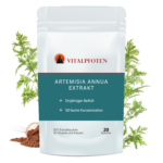 Artemisia Annua Hund Katze