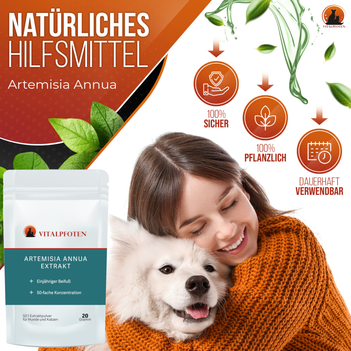 Artemisia Annua 50:1 Ratio Extrakt-Pulver 20g – Bild 2