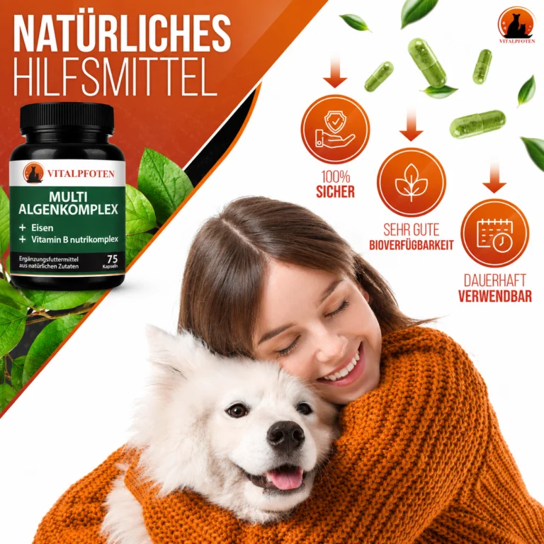 Kapseln Hund Katze Vitamin B Eisen Vitamin C Natürliches Hilfsmittel Alge