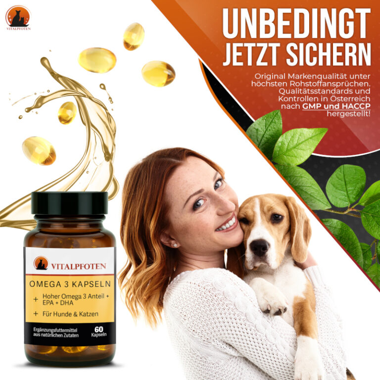 Omega 3 Unbedingt Sichern