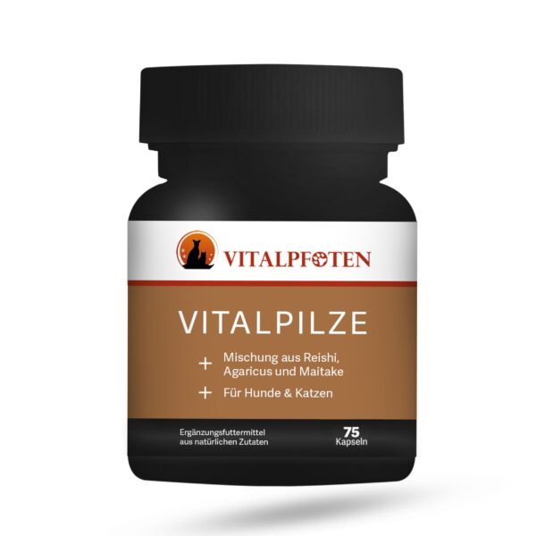 Vitalpilze Kapseln Hund Katze