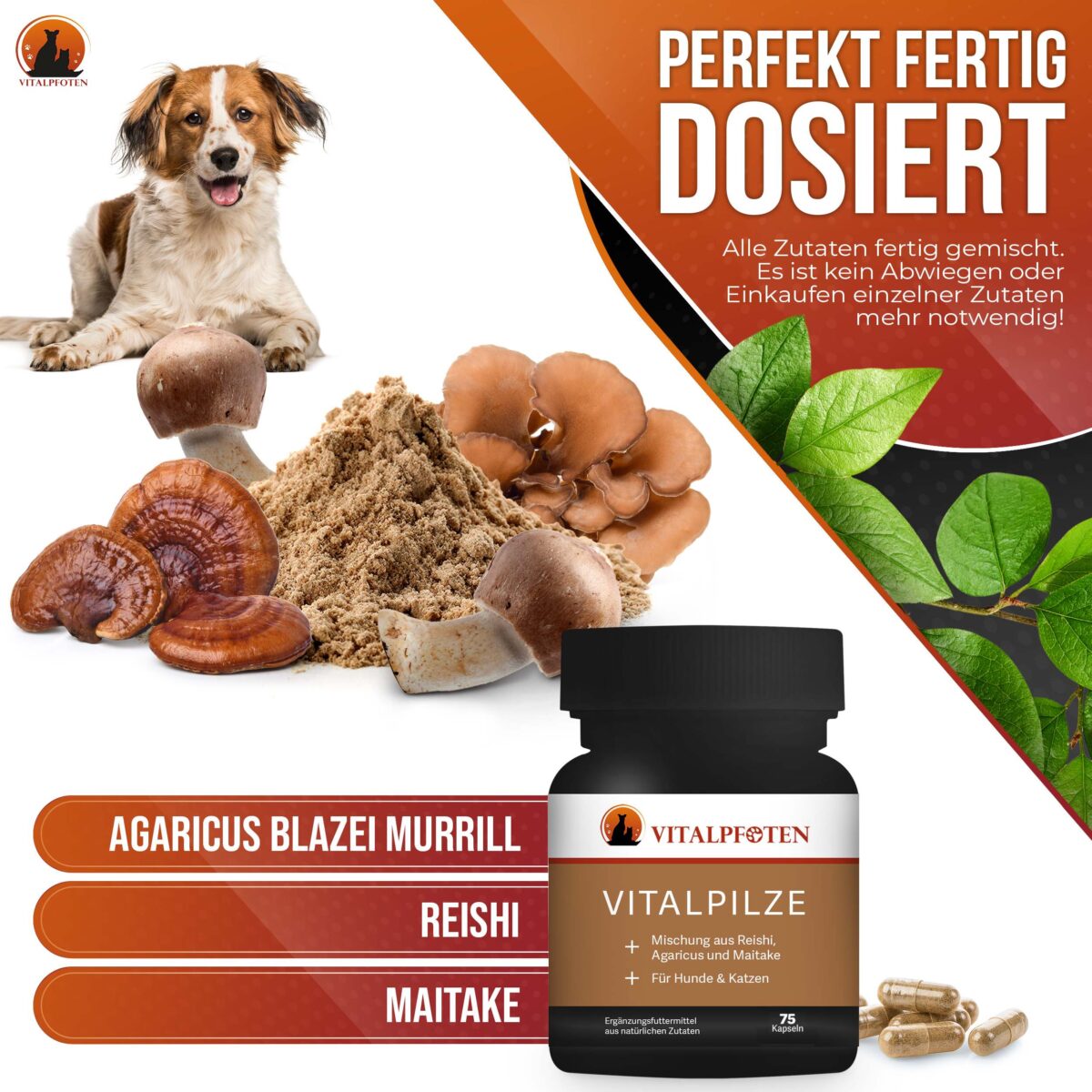 Vitalpilze perfekt dosiert Hund Katze Vitalpilze Krebs Immunsystem