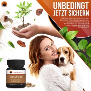 Vitalpilze kaufen Hunde Katzen