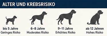 Krebs beim Hund