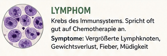 Lymphom Krebs Tumor Hund