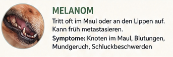 Melanom Hautkrebs Hund Therapie
