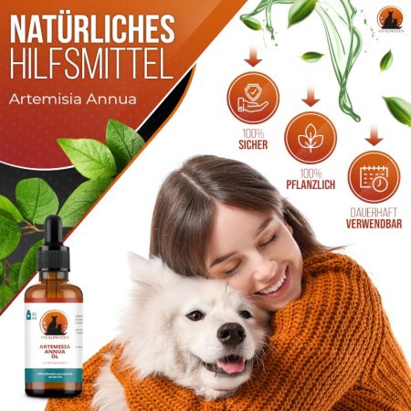 Artemisia Annua: Hilfsmittel gegen Krebs/Tumor bei Hund und Katze
