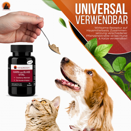 Harn und Blase Vital Pulver Mannose Cranberry
