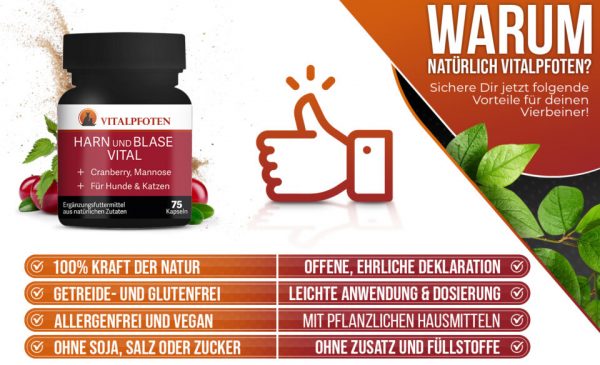 Tabletten Kapseln für Hund und Katze kaufen Blase Harnwege
