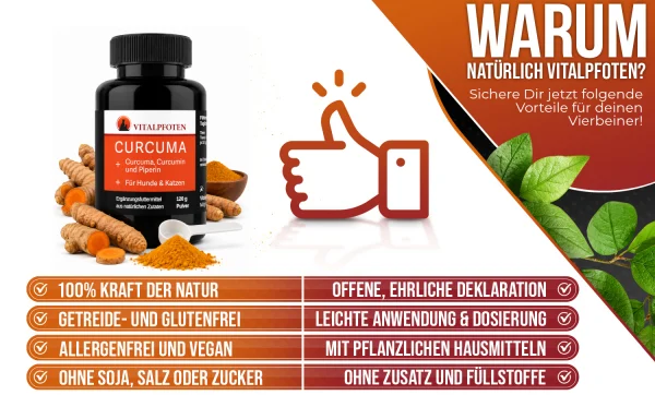Kurkuma Pulver Hund Katze WARUM