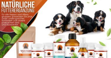 Natürliche Nahrungsergänzung für Hunde und Katzen